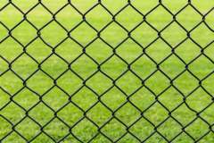 Chain-Link-Fence-Cost-650x443